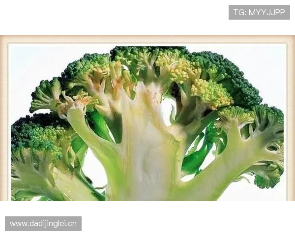 拉皮诺晒出冰箱里只有一瓶蛋白粉和半颗西兰花，网友：这哪是球星，简直是修仙